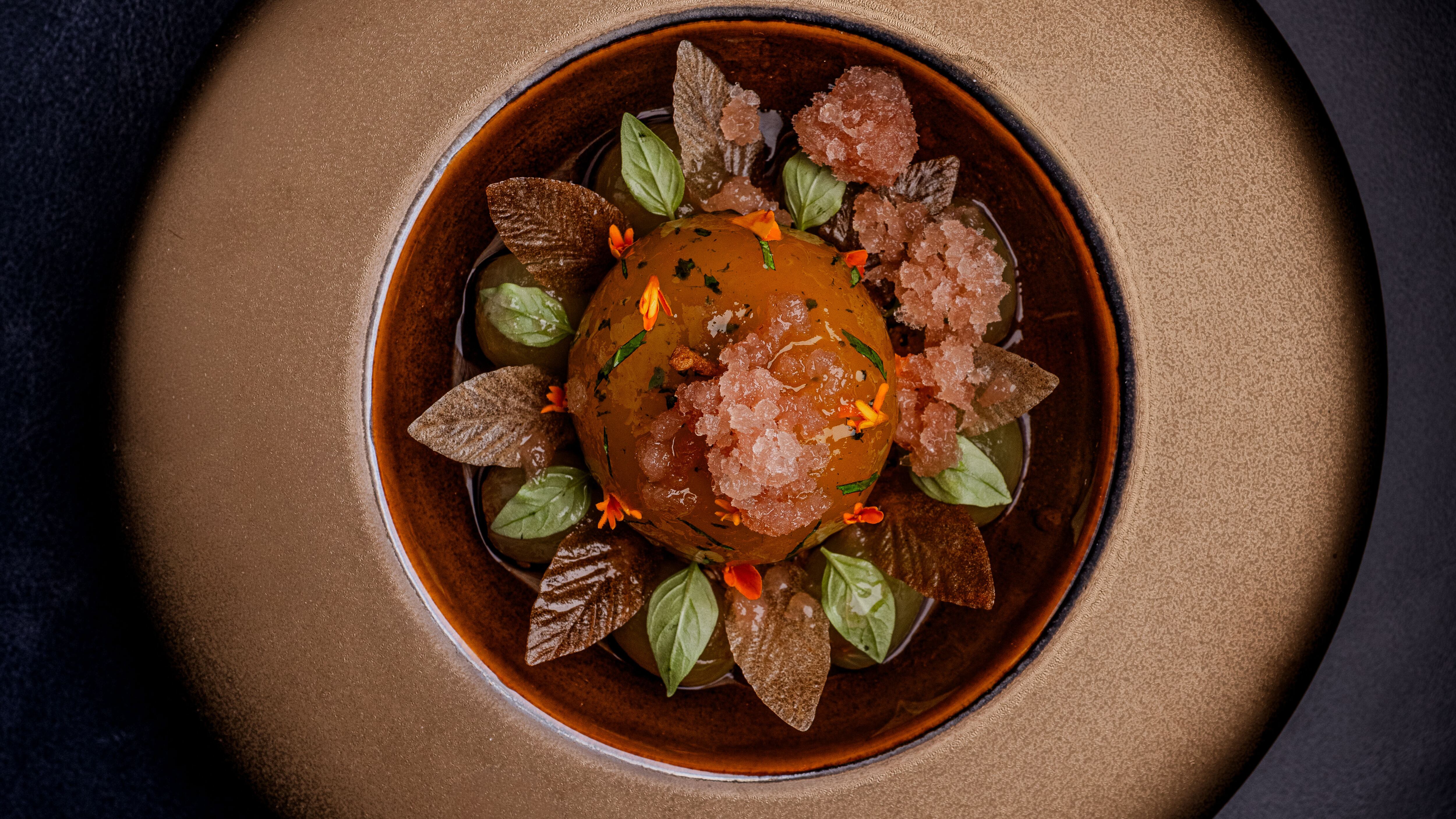 Latest opening: BEAR by Carlo Scotto 
