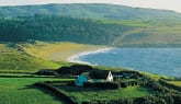 Why sustainability and provenance are vital ingredients