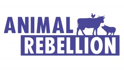 Animal Rebellion protesters target Mana and Nusr-Et