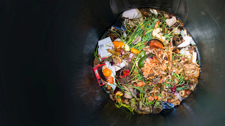 Food waste in restaurants 