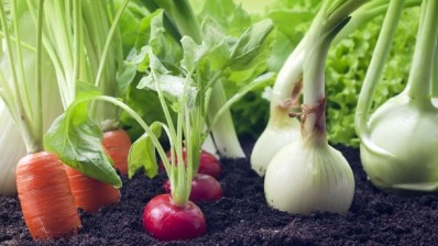 How to successfully grow your own produce